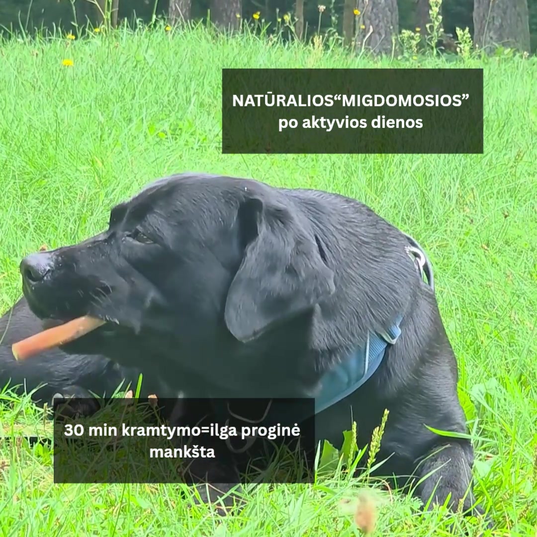 Sweet Pet Facebook ad: Natūralios migdomosios po aktyvios dienos.