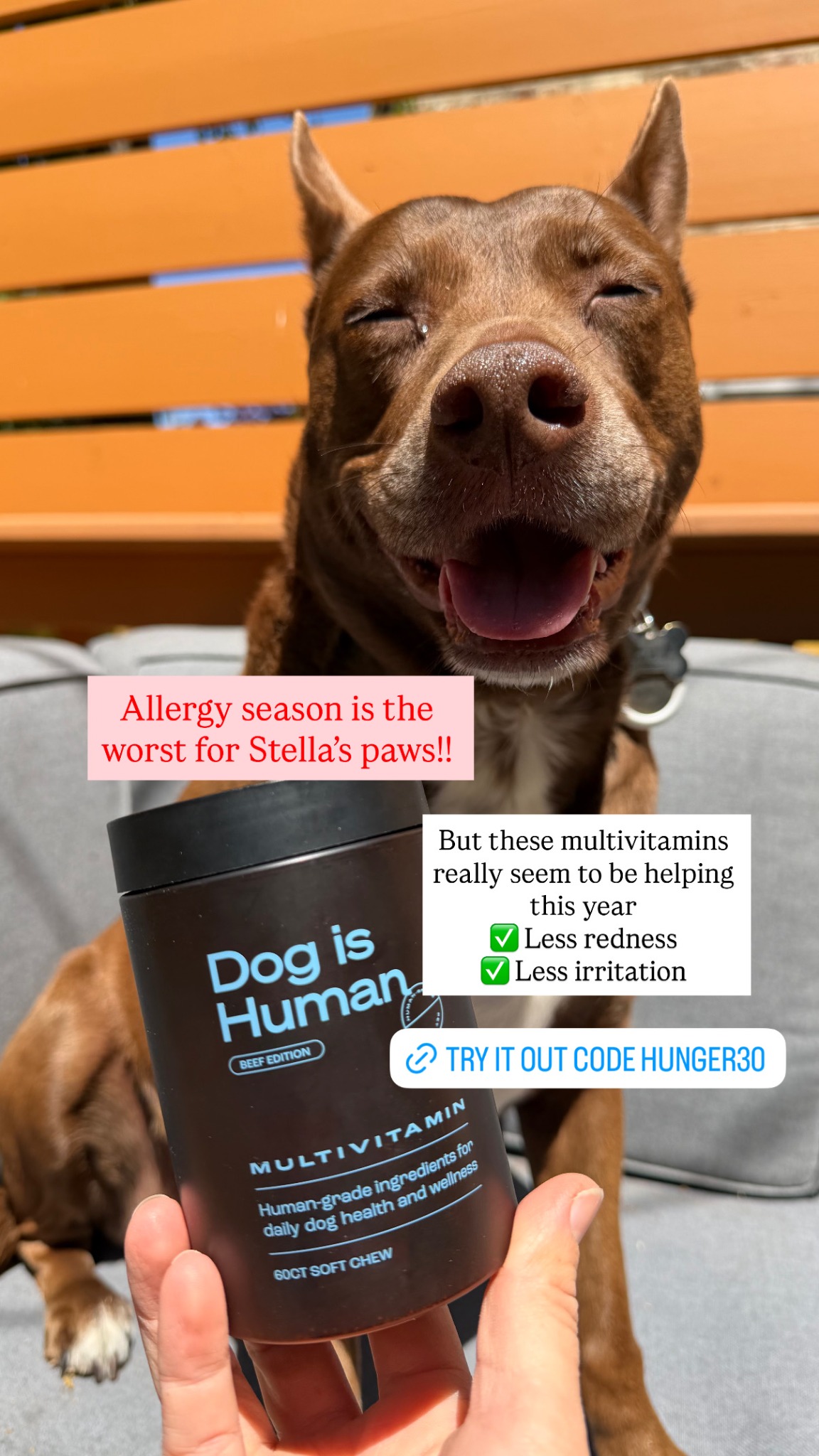 Dog is Human Facebook ad