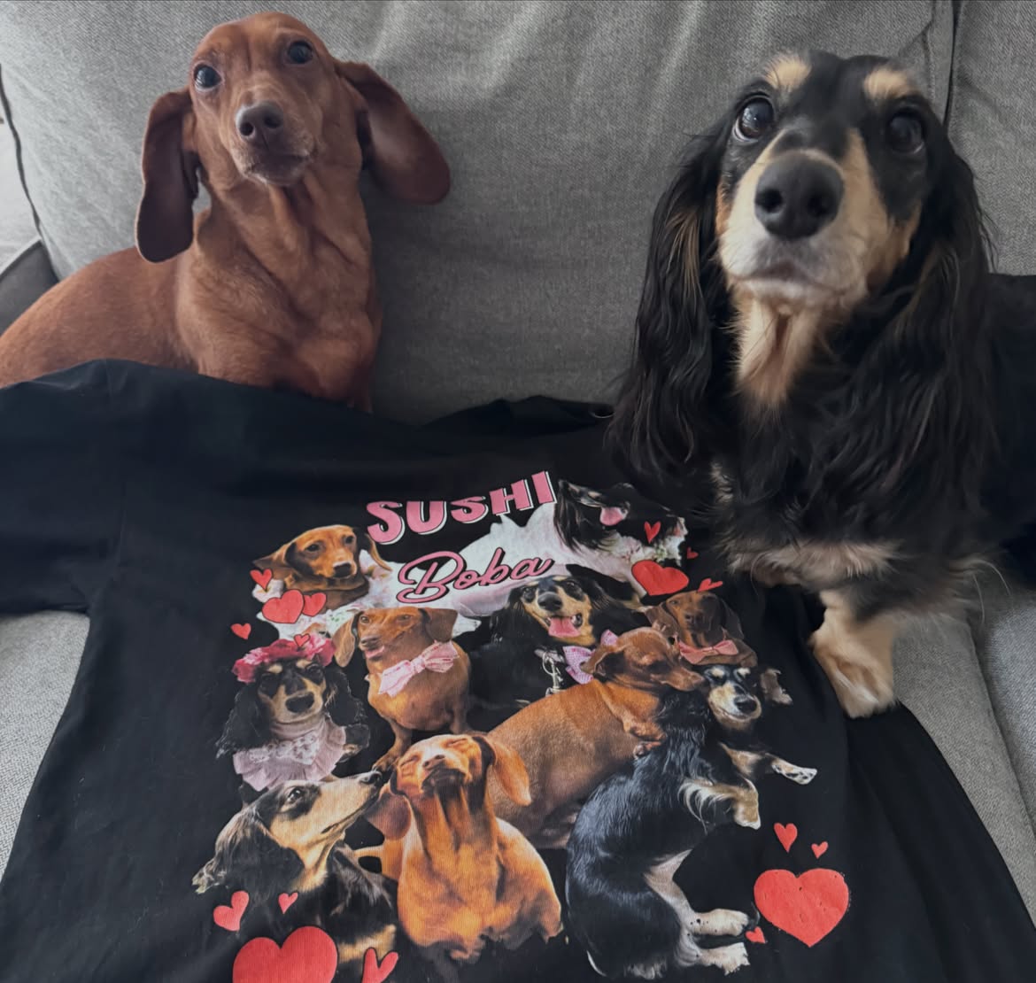 Sushitheminidachshund Facebook ad