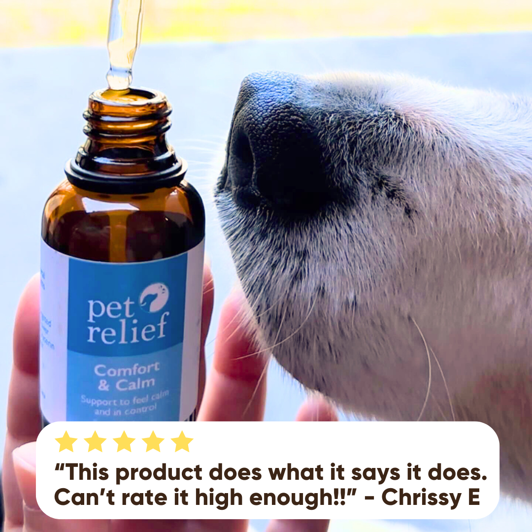 Pet Relief Australia Facebook ad
