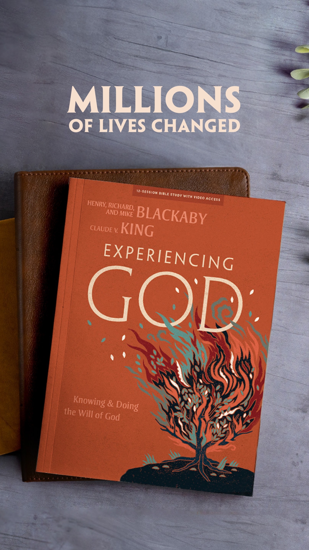 Lifeway Facebook ad