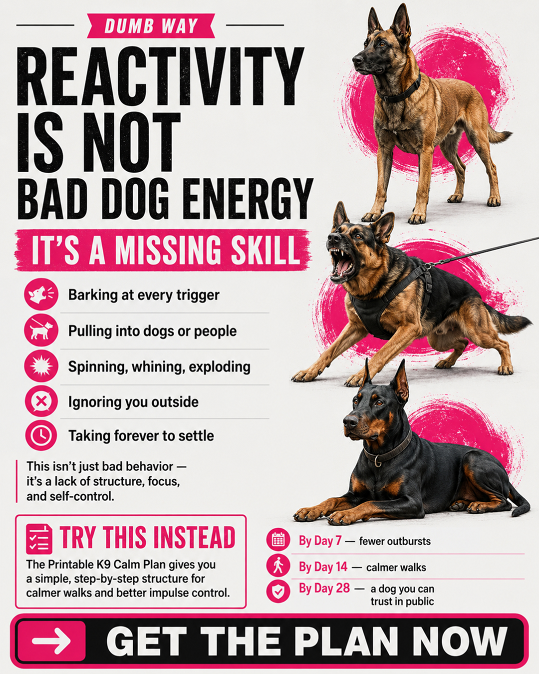 1st Dog Training Club Facebook ad