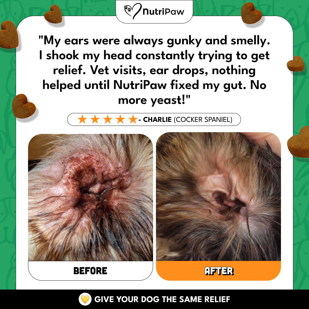 Nutri Paw Facebook ad