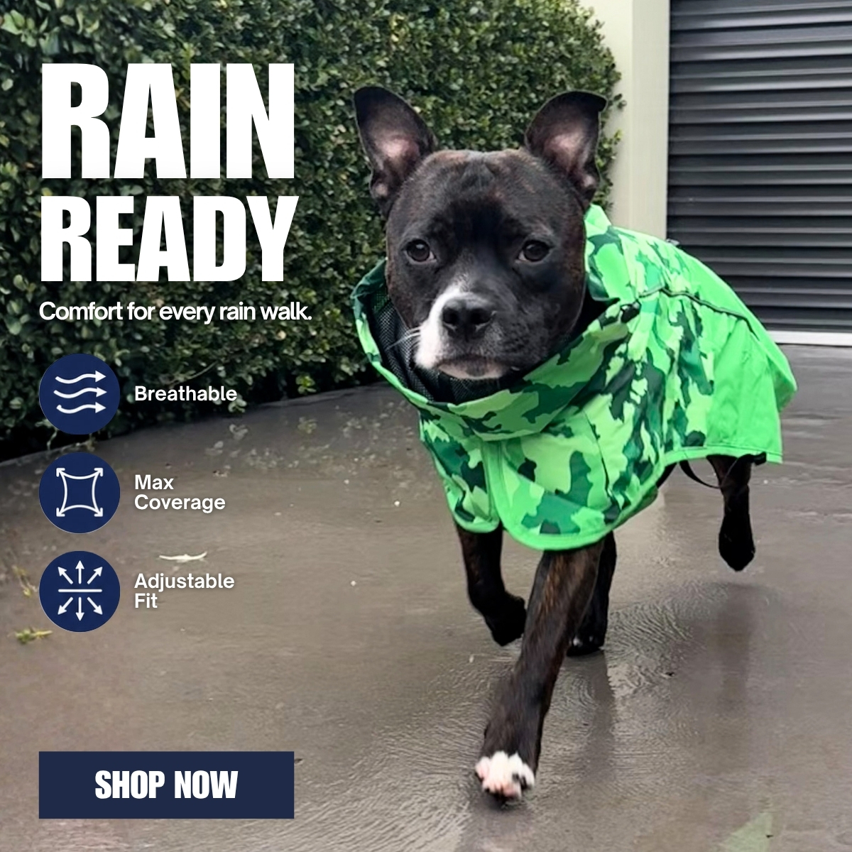 Spark Paws Facebook ad