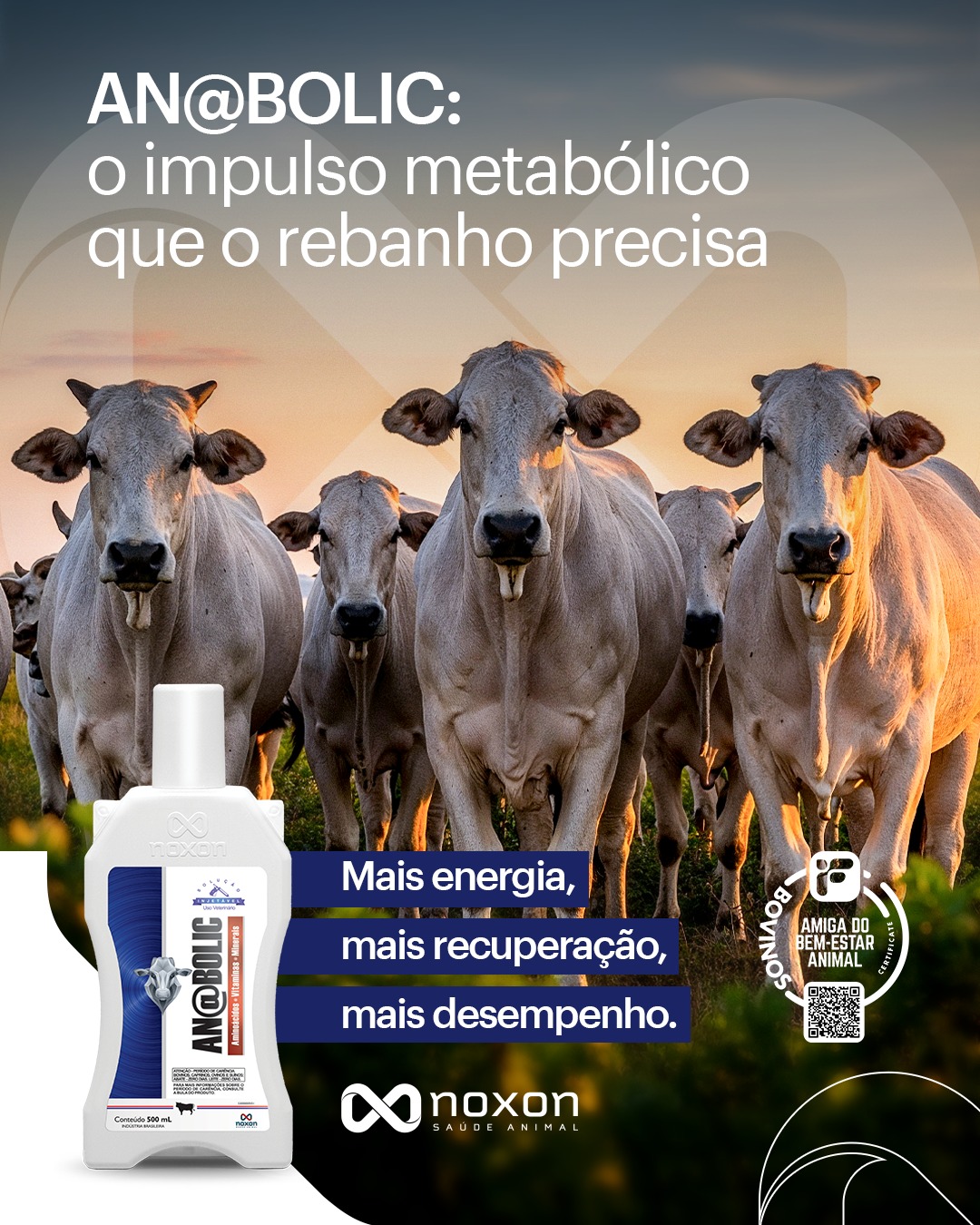 NOXON Oficial. Facebook ad: AN@BOLIC é o primeiro passo para um pós-manejo…