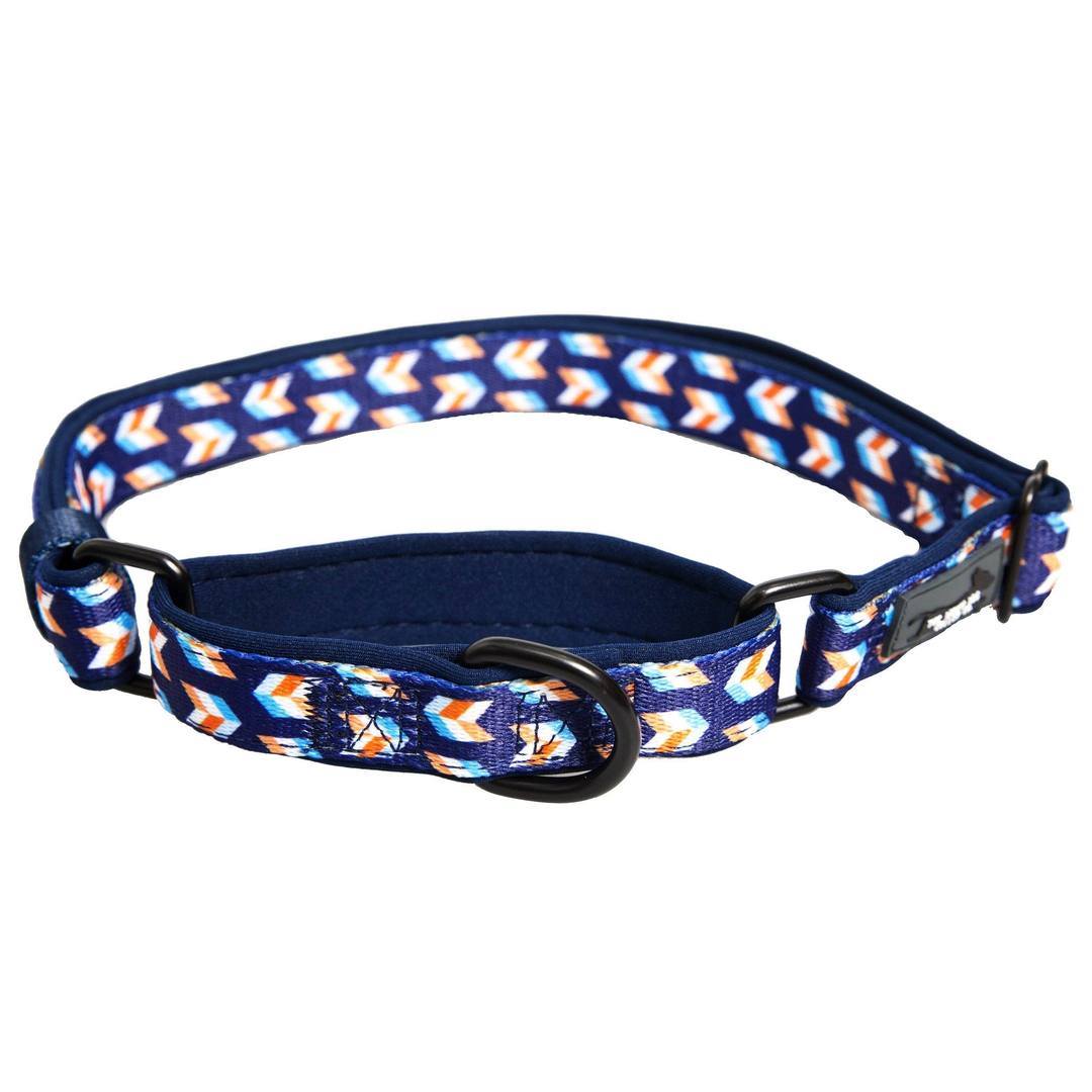 Dizzy Dog Collars Facebook ad