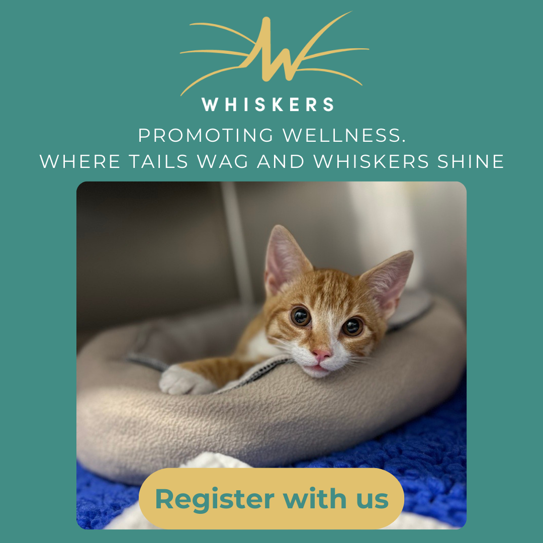 Whiskers Veterinary Practice Facebook ad