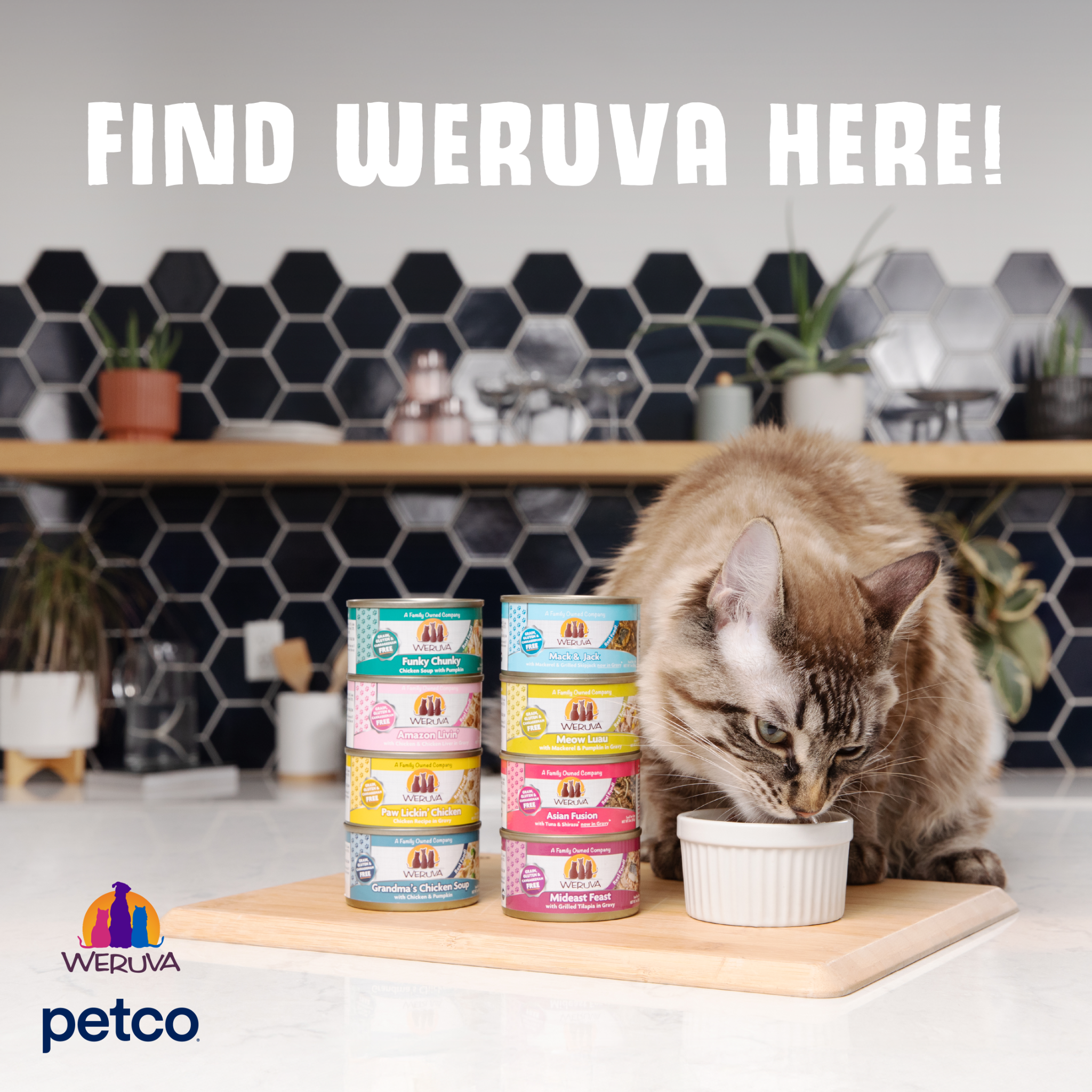 Petco Facebook ad