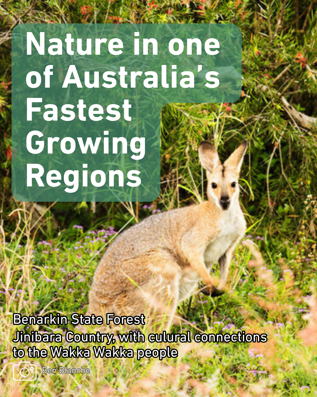 Protect Beautiful Queensland Facebook ad from Aug 25, 2025