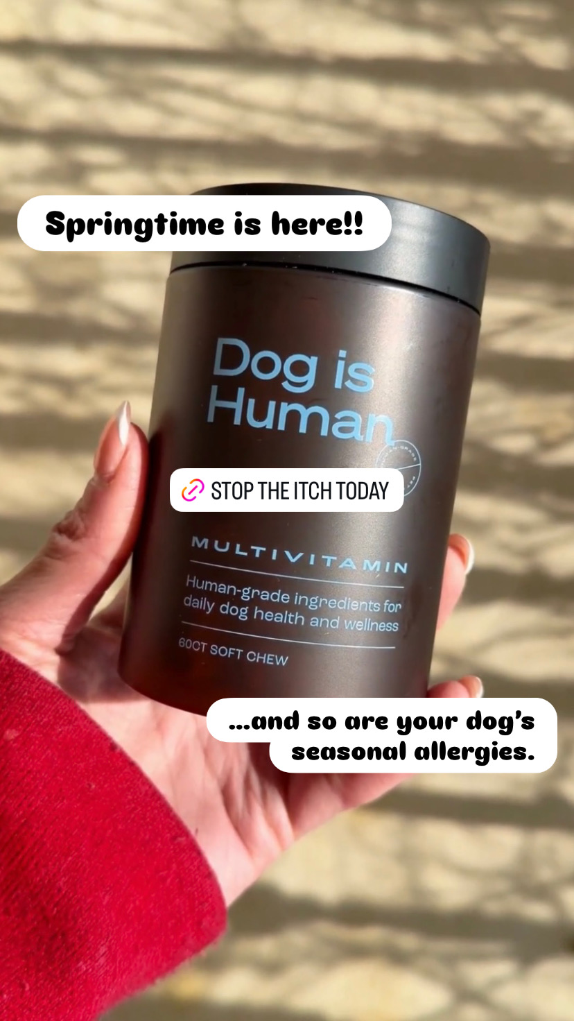 Dog is Human Facebook ad