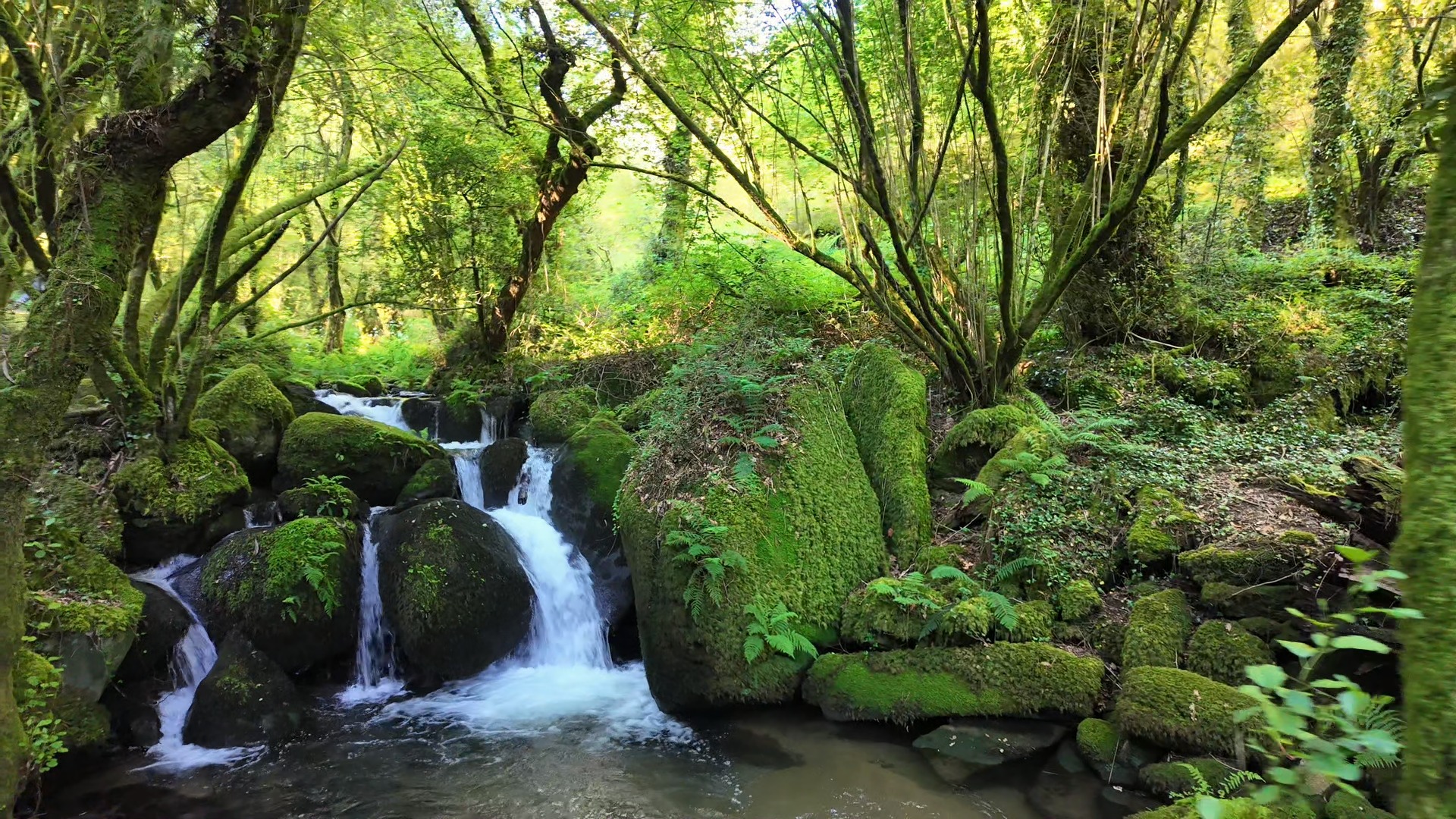 Live Love Hike - Walking Tours Portugal Facebook ad