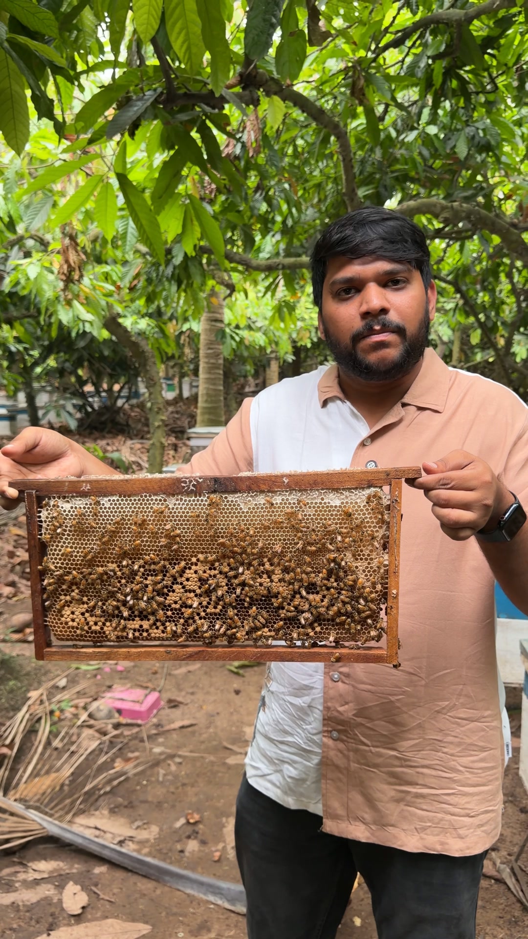 Palleturipachallu Facebook ad: 100% Pure Organic Honey