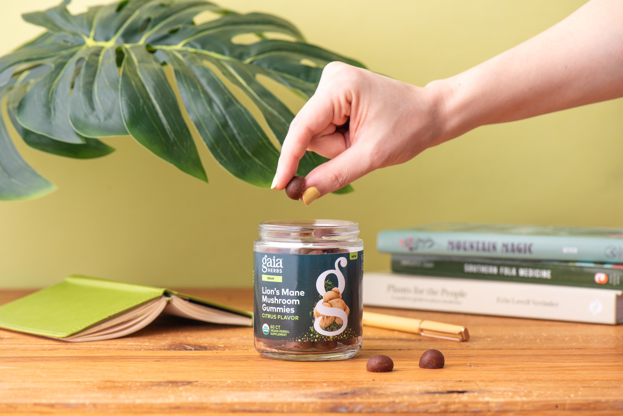 Gaia Herbs Facebook ad