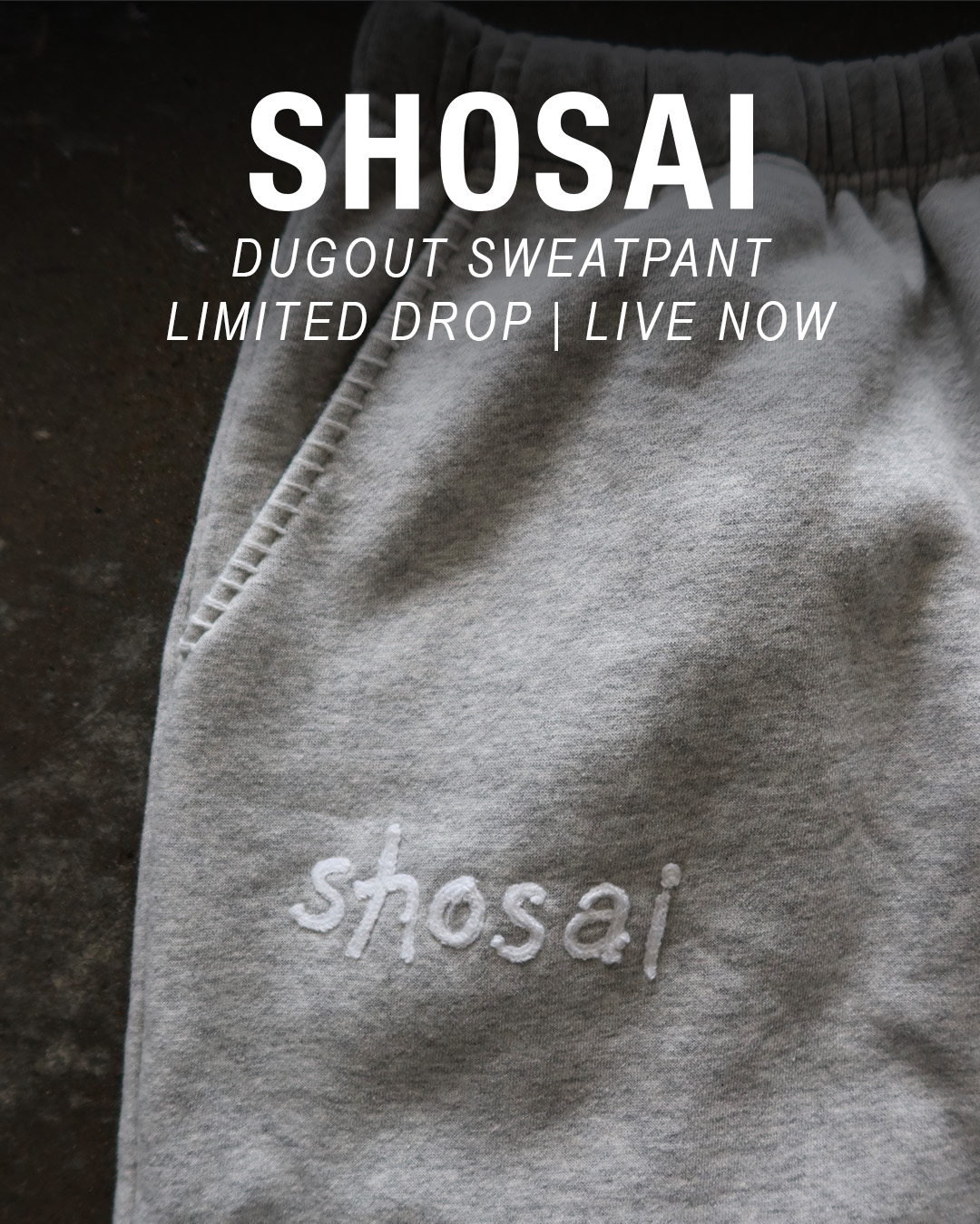 Shosai Store Facebook ad: Live Now