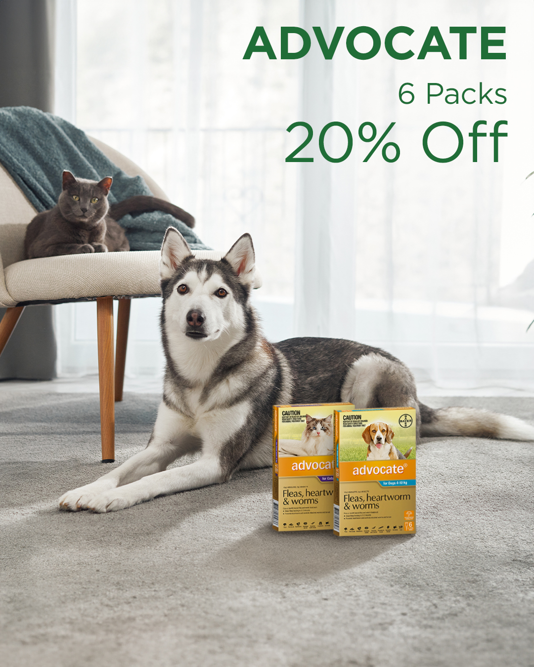 Budget Pet Products Facebook ad