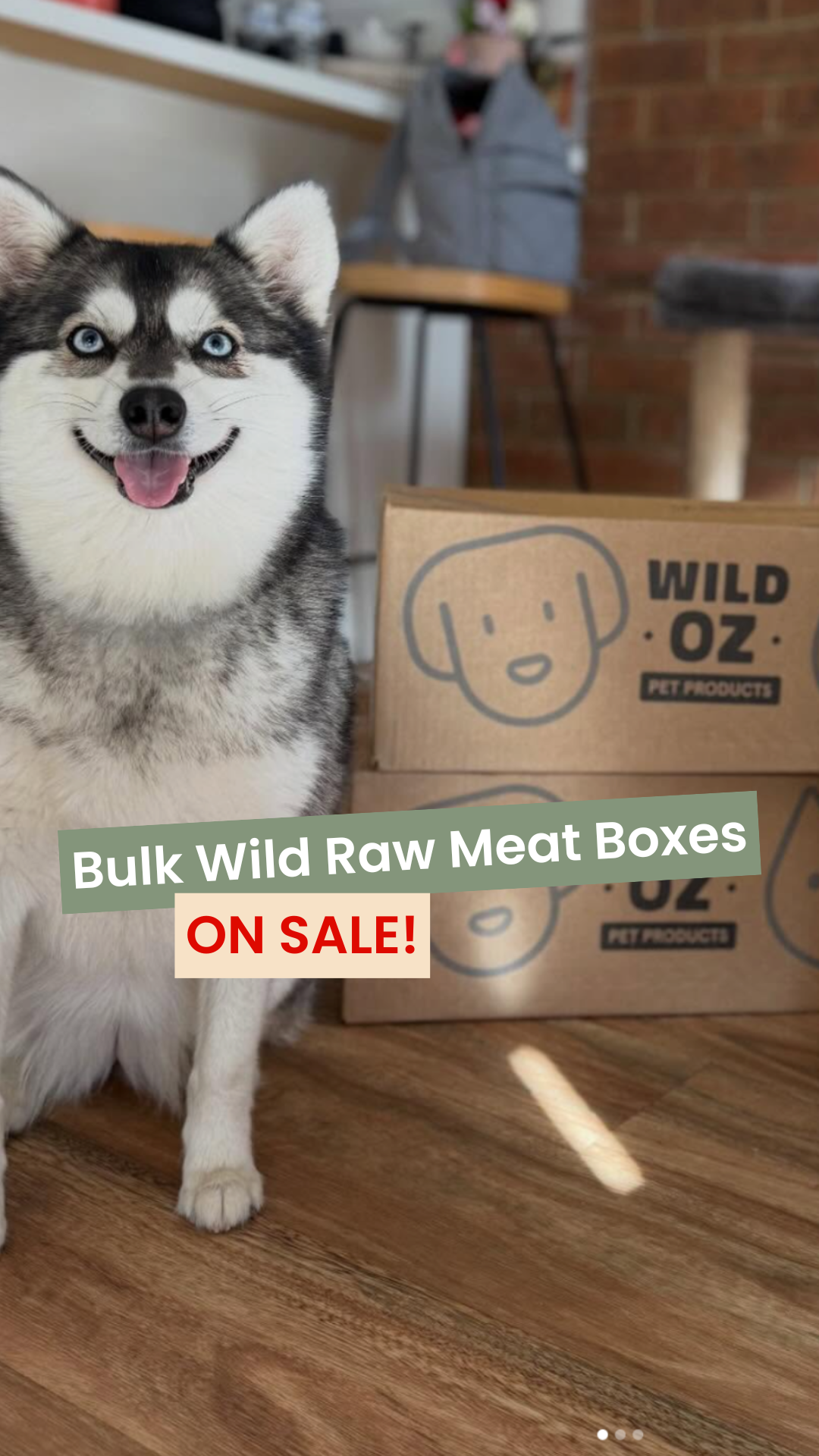 Wild Oz Pet Products Facebook ad
