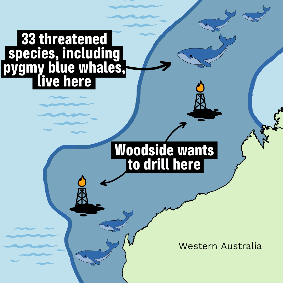 Greenpeace Australia Pacific Facebook ad: EMERGENCY Sign Our Petition Today