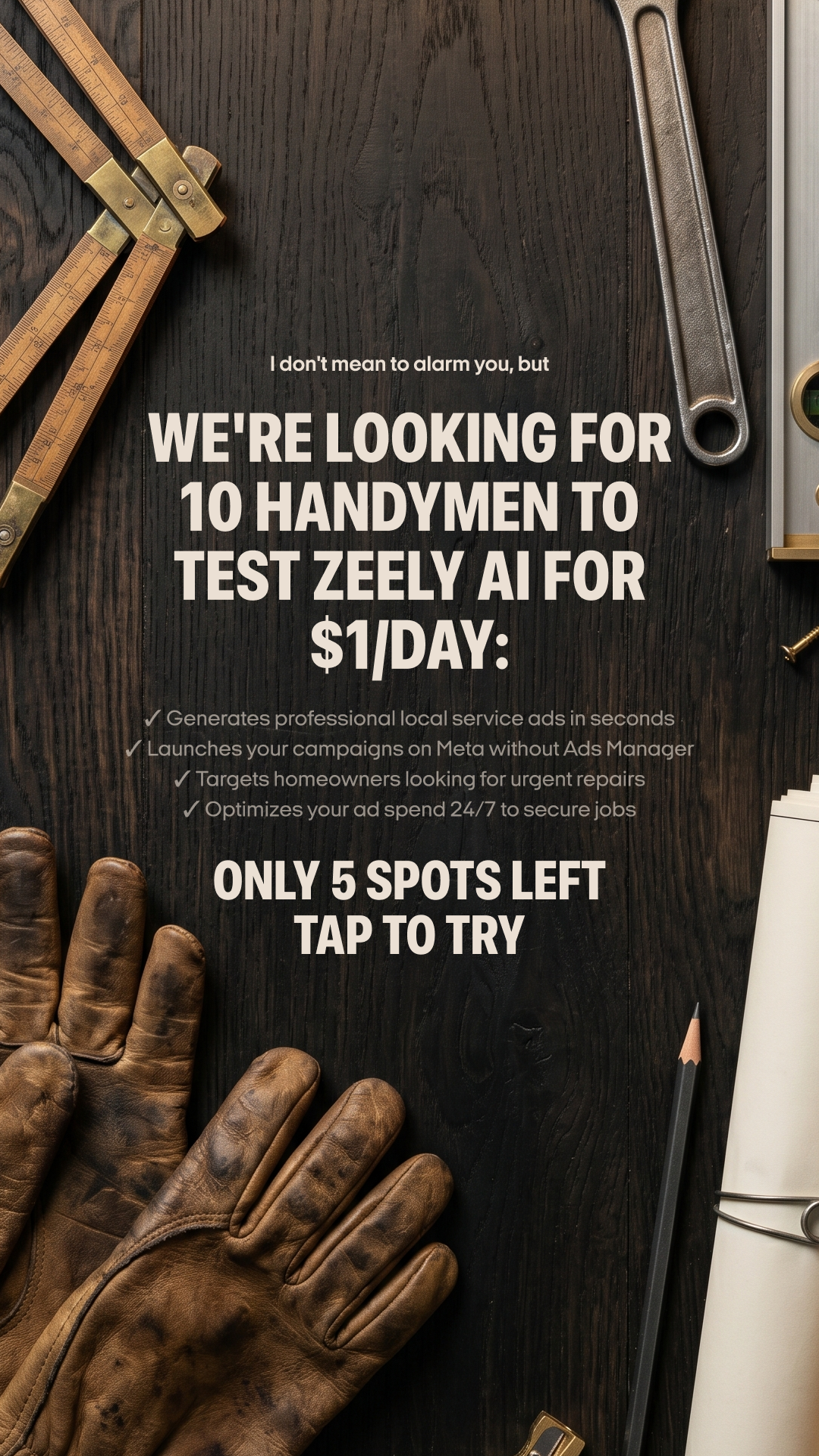 Zeely Facebook ad