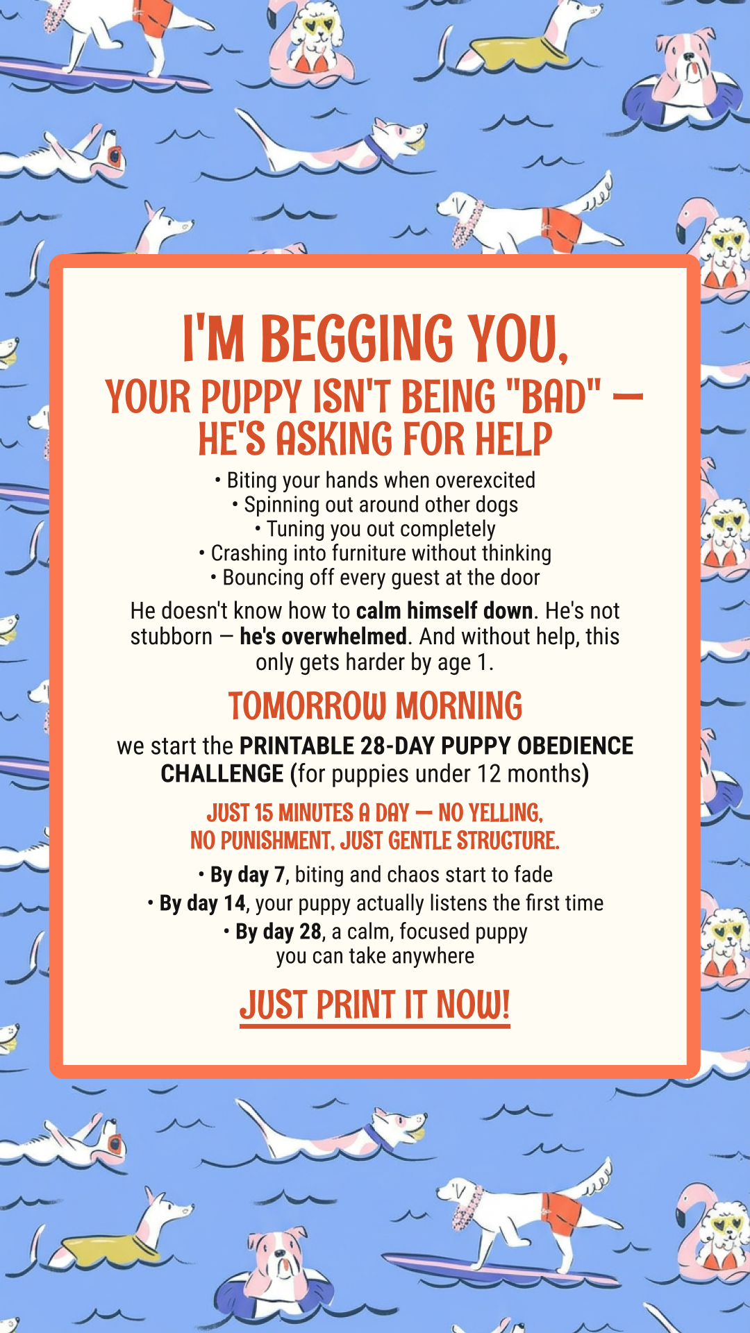 Bodhi and Koda Facebook ad