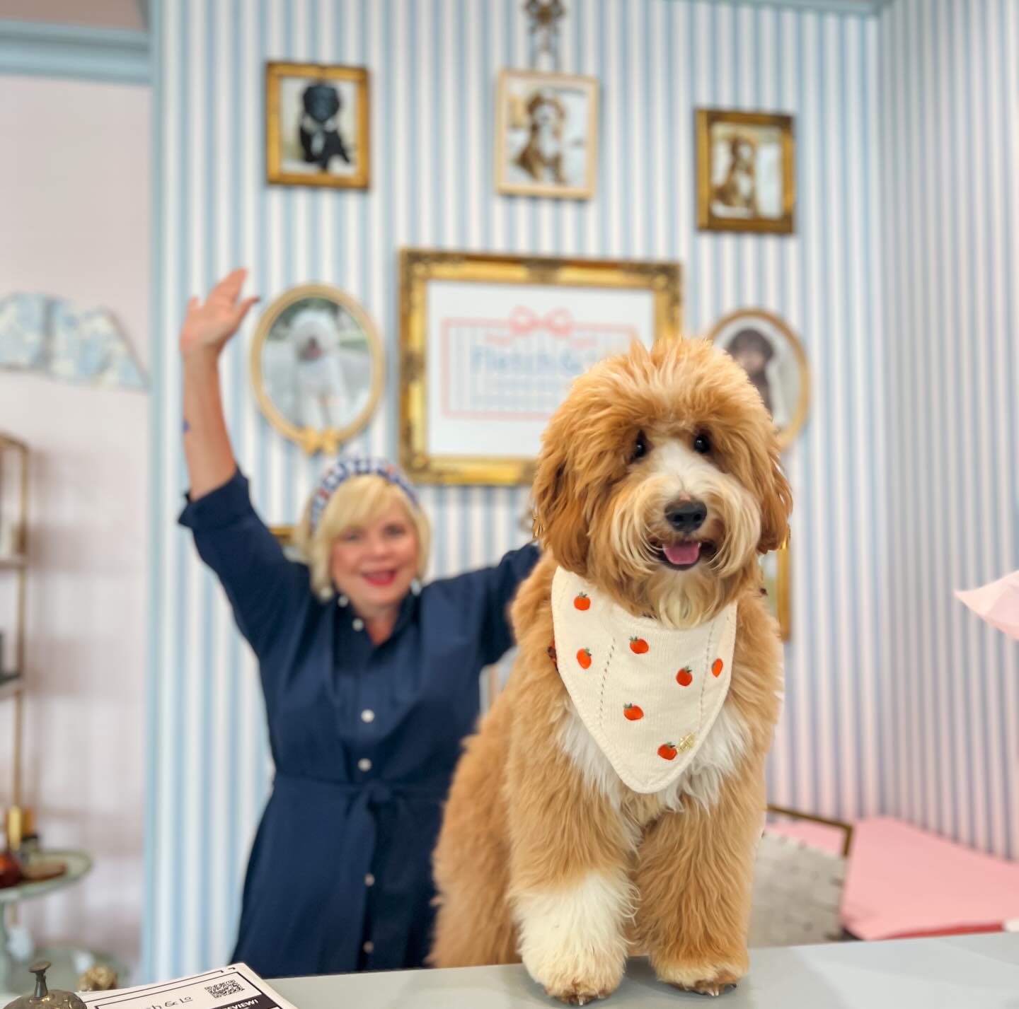 Smeraglia's Teddy Bear Goldendoodles & Schnoodles Facebook ad