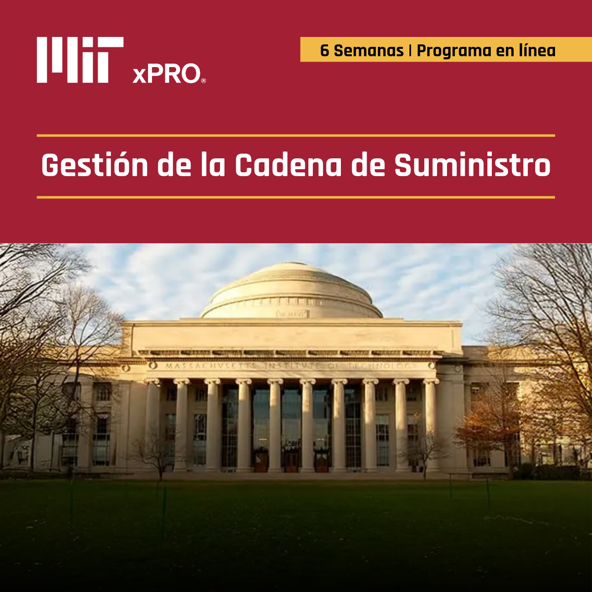 MIT - Supply Chain Management: Leading with AI and Digital Transformation Facebook ad: Digitalización de la cadena de suministro