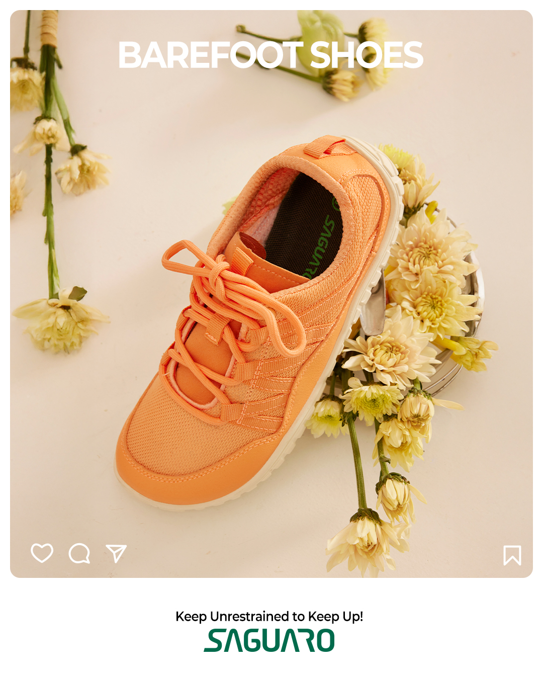 Saguaro US Facebook ad