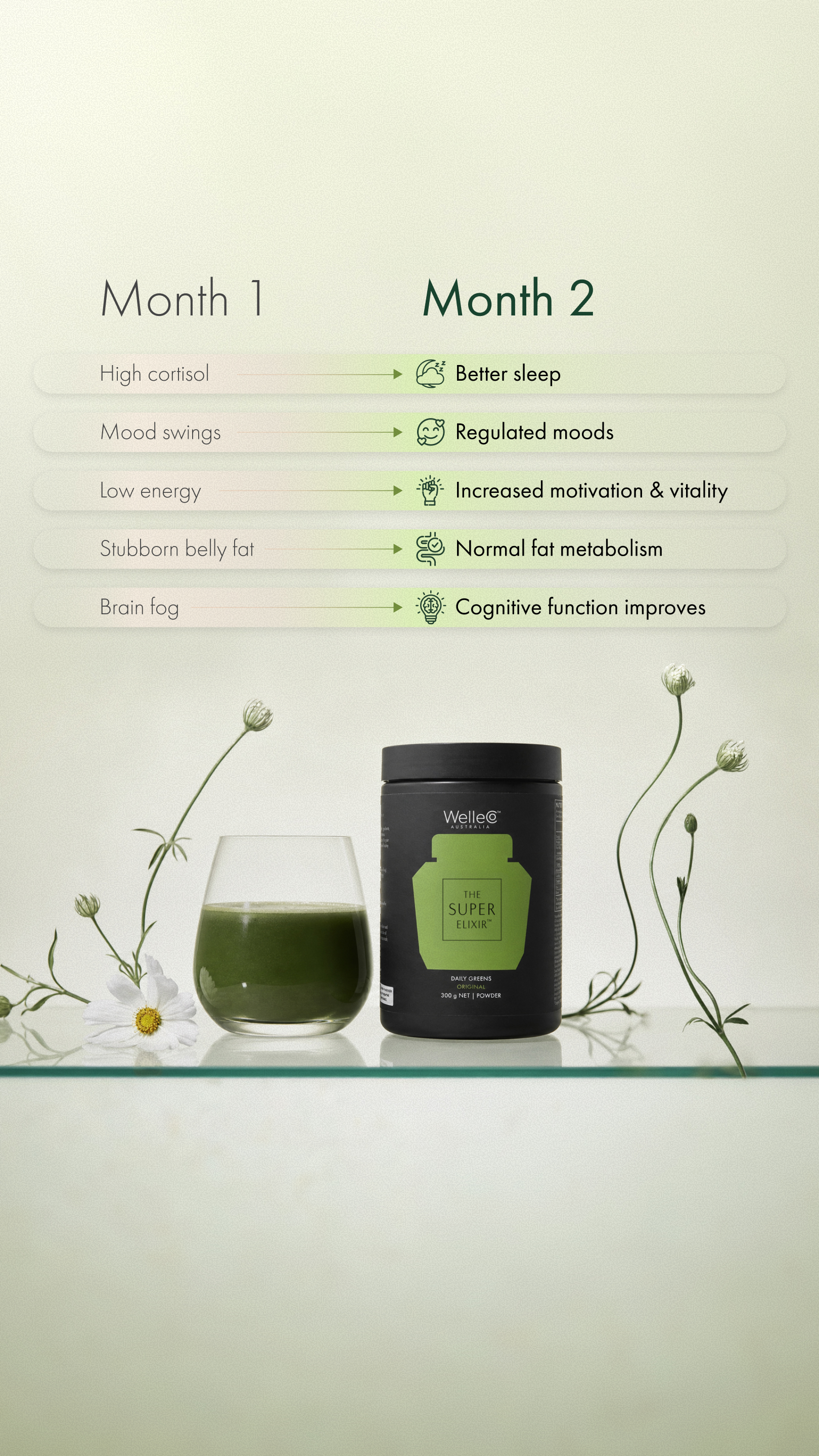 WelleCo Facebook ad