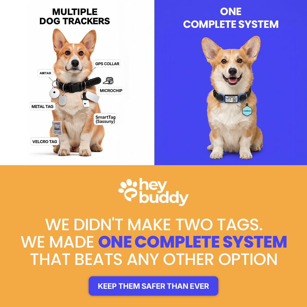 HeyBuddy Facebook ad