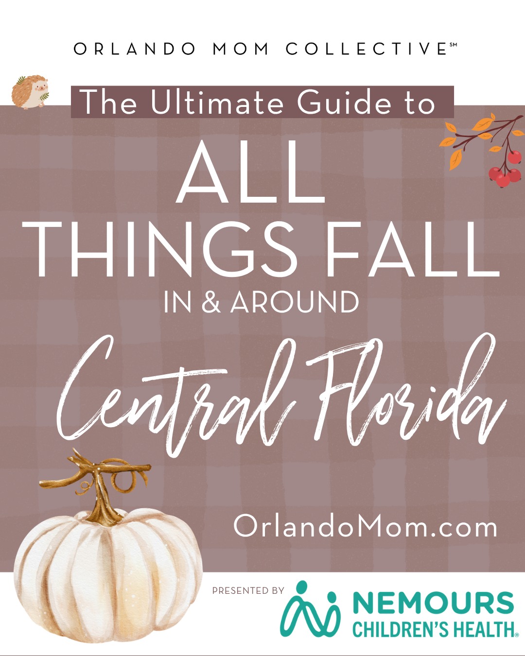 Orlando Mom Collective Facebook ad