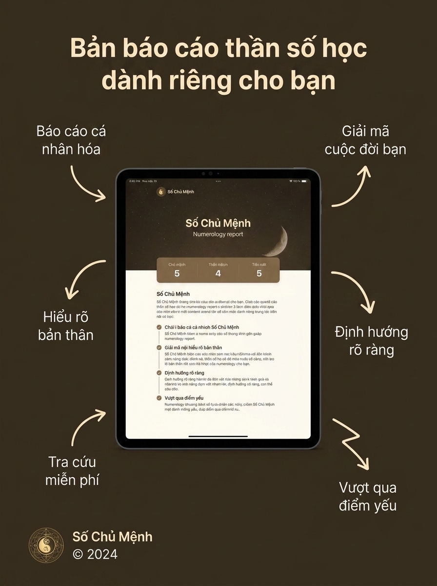 Sochumenh.vn - Tra Cứu Thần Số Học, Giải Mã Số Mệnh Facebook ad: Định hướng & Khẳng định Sự nghiệp