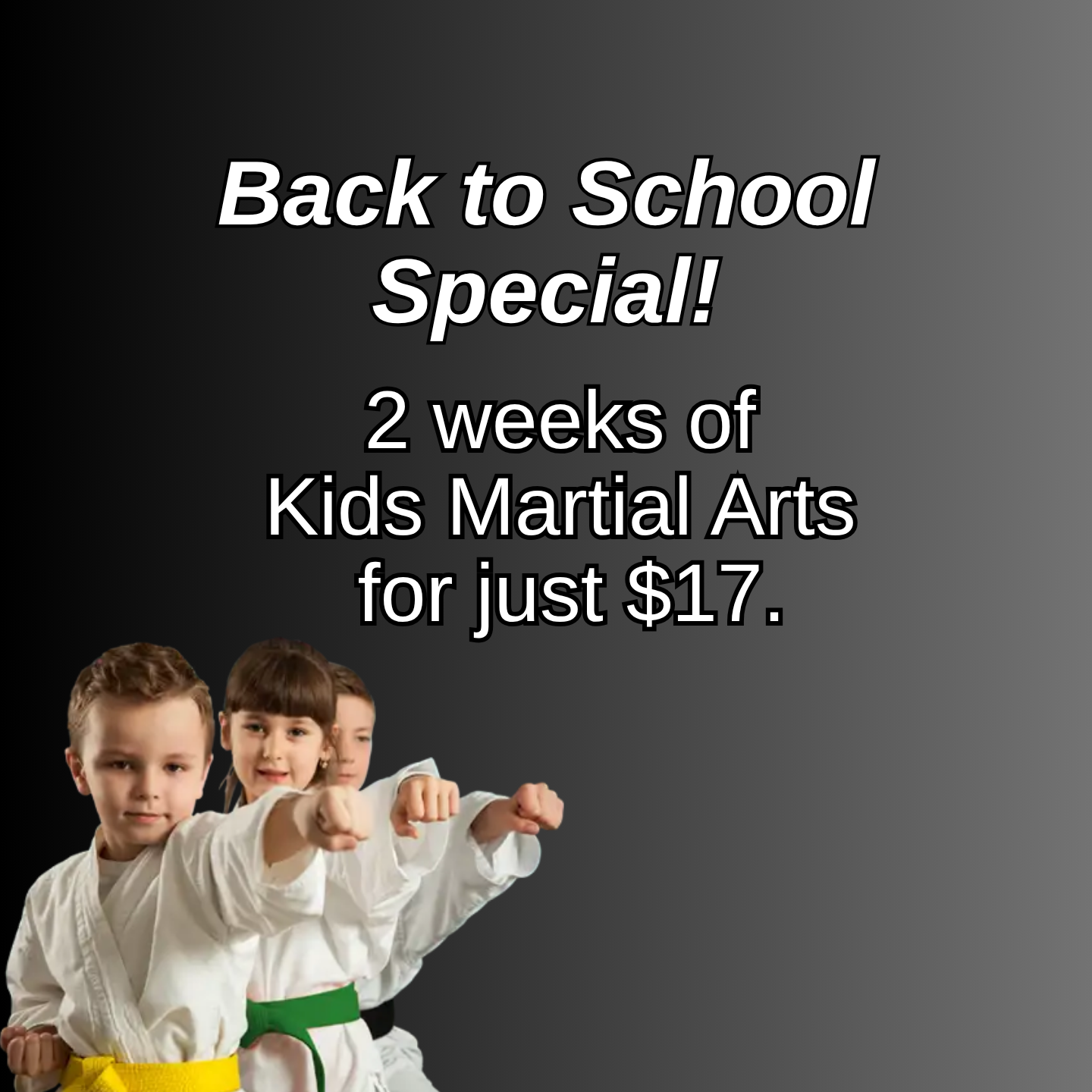 Vision Martial Arts Academy Facebook ad