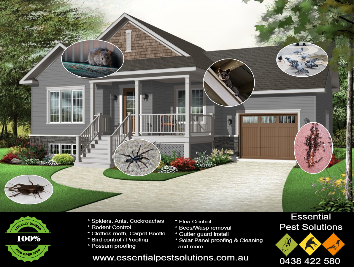 Essential Pest Solutions Facebook ad: Essential Pest Solutions is a small family pest…