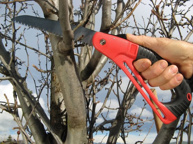 The Wildflower Seed & Tool Company Facebook ad