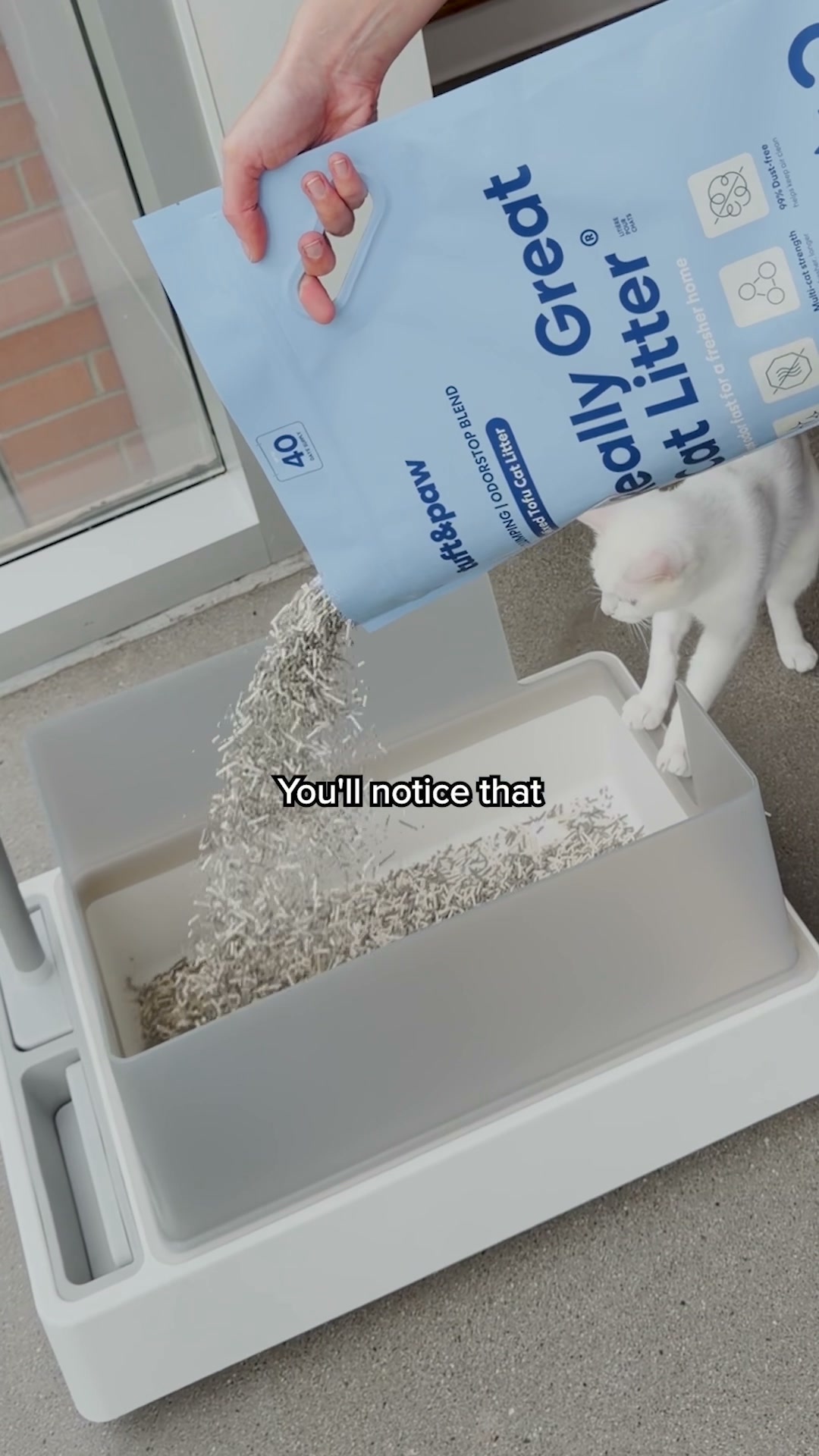 Tuft & Paw Facebook ad from Aug 21, 2026