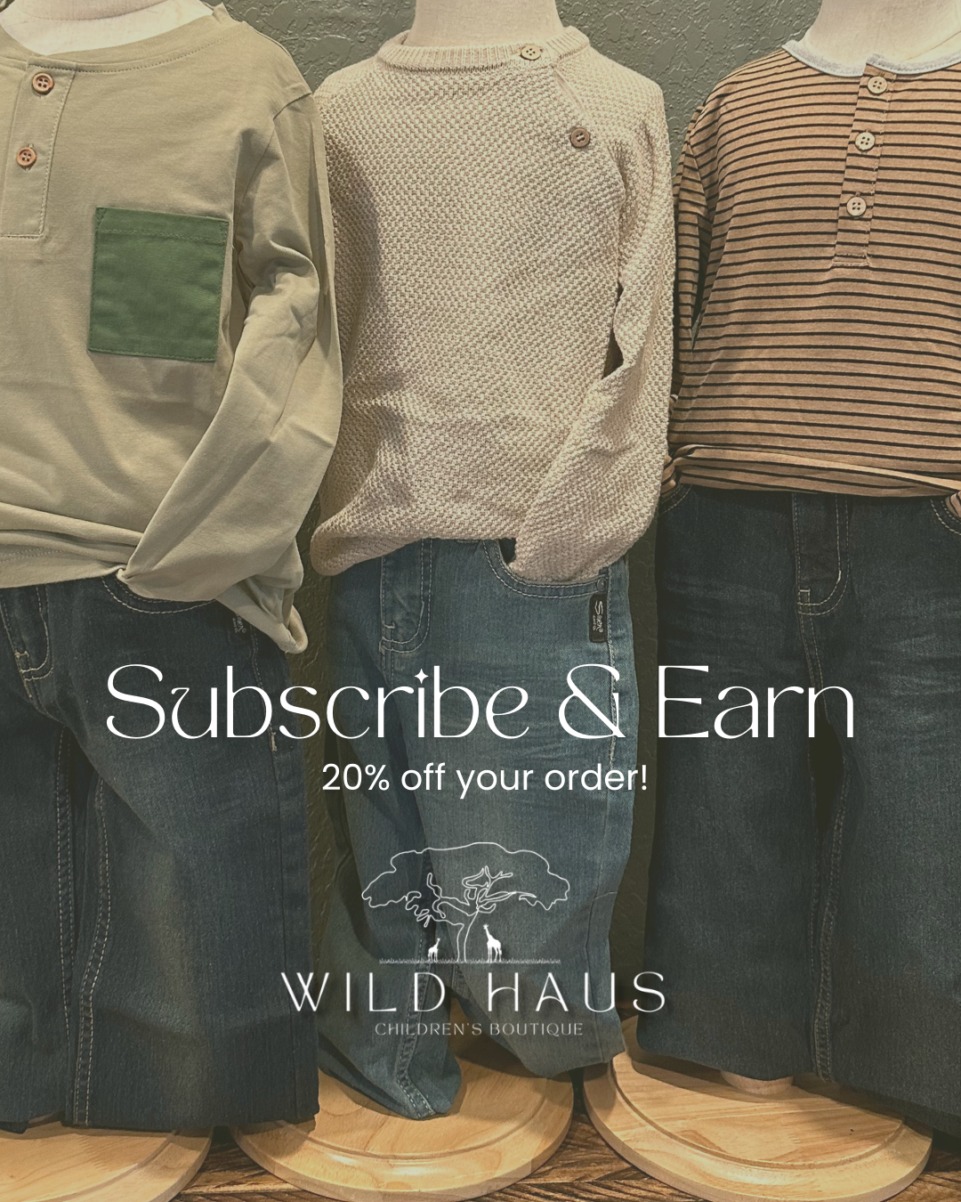 Wild Haus Children’s Boutique Facebook ad: Wild Haus Children's Boutique