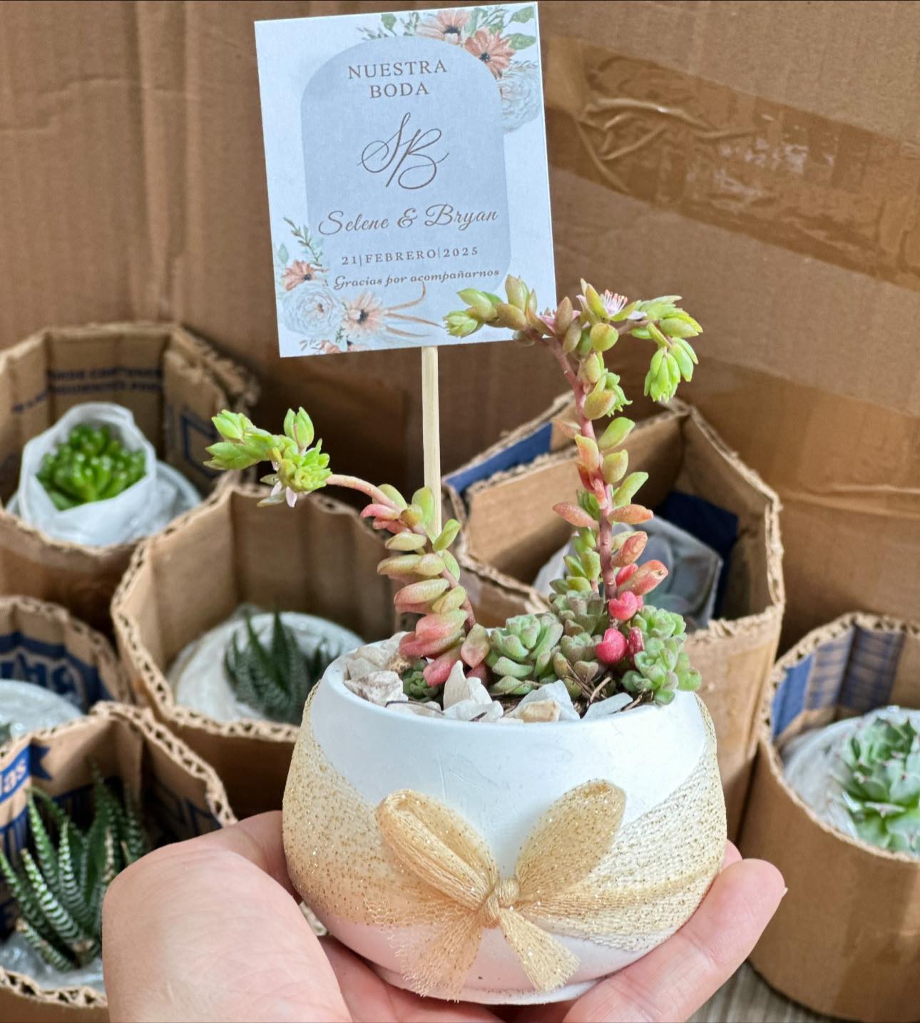 Venta de cactus y suculentas - La fábrica de moi Facebook ad: Lleva un pedacito de naturaleza contigo.