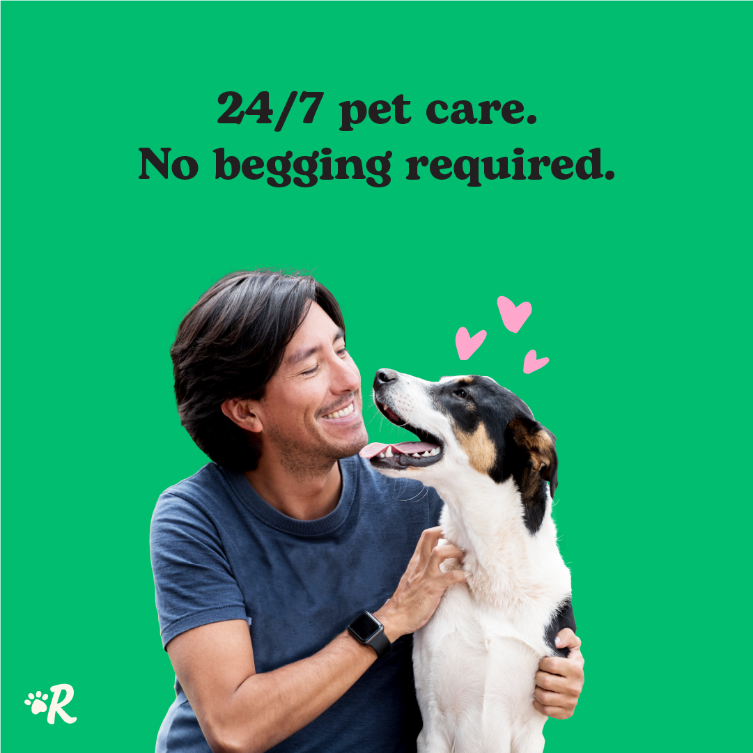 Rover.com Facebook ad