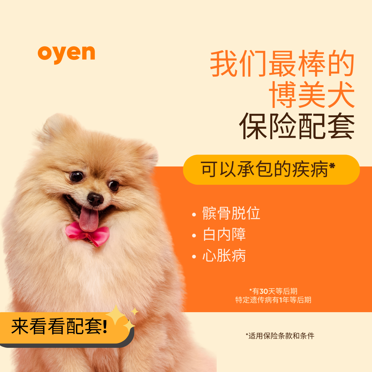 Oyen Pet Insurance & Takaful Kucing Facebook ad