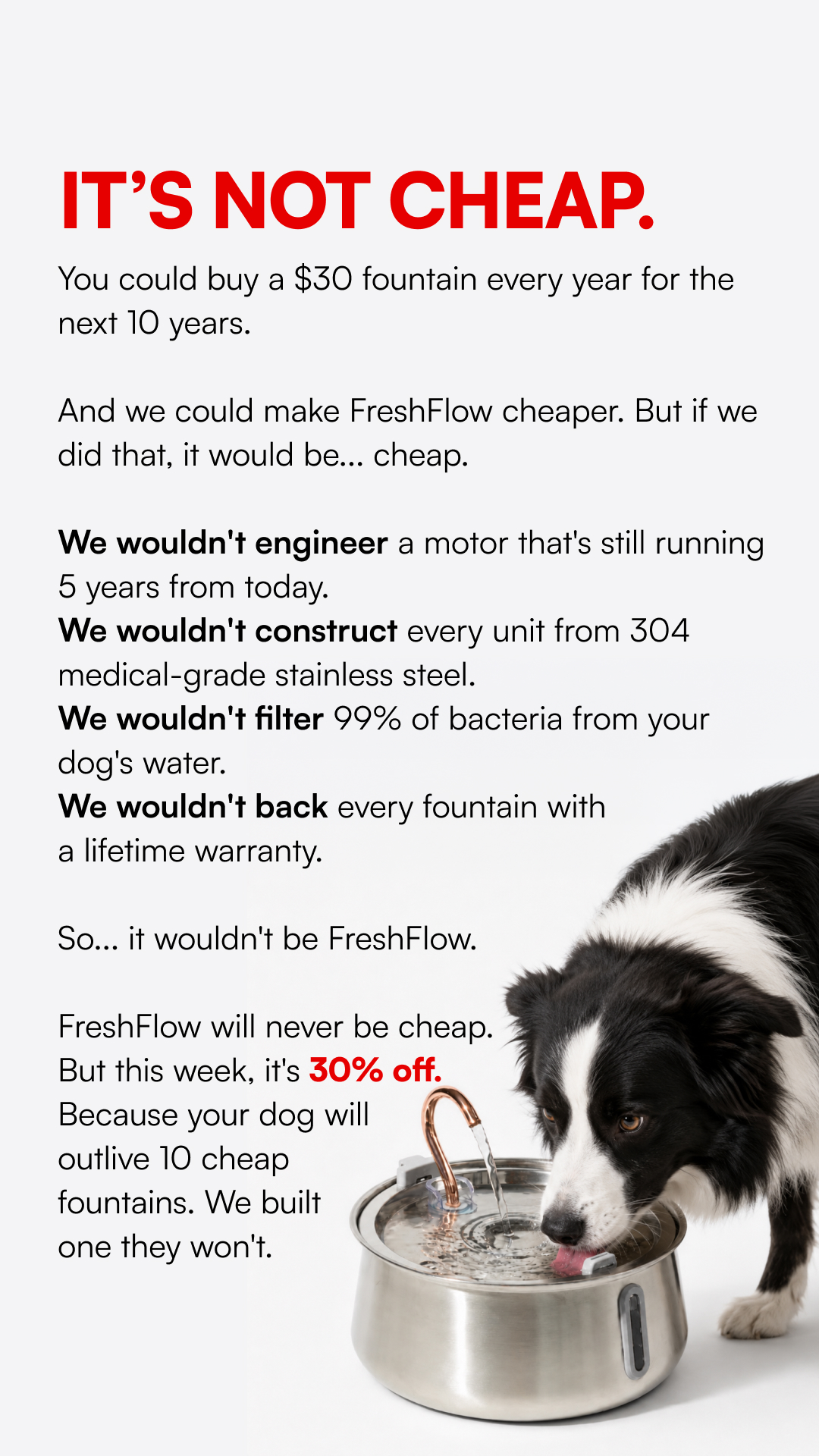 Rhykin Pet Co Facebook ad