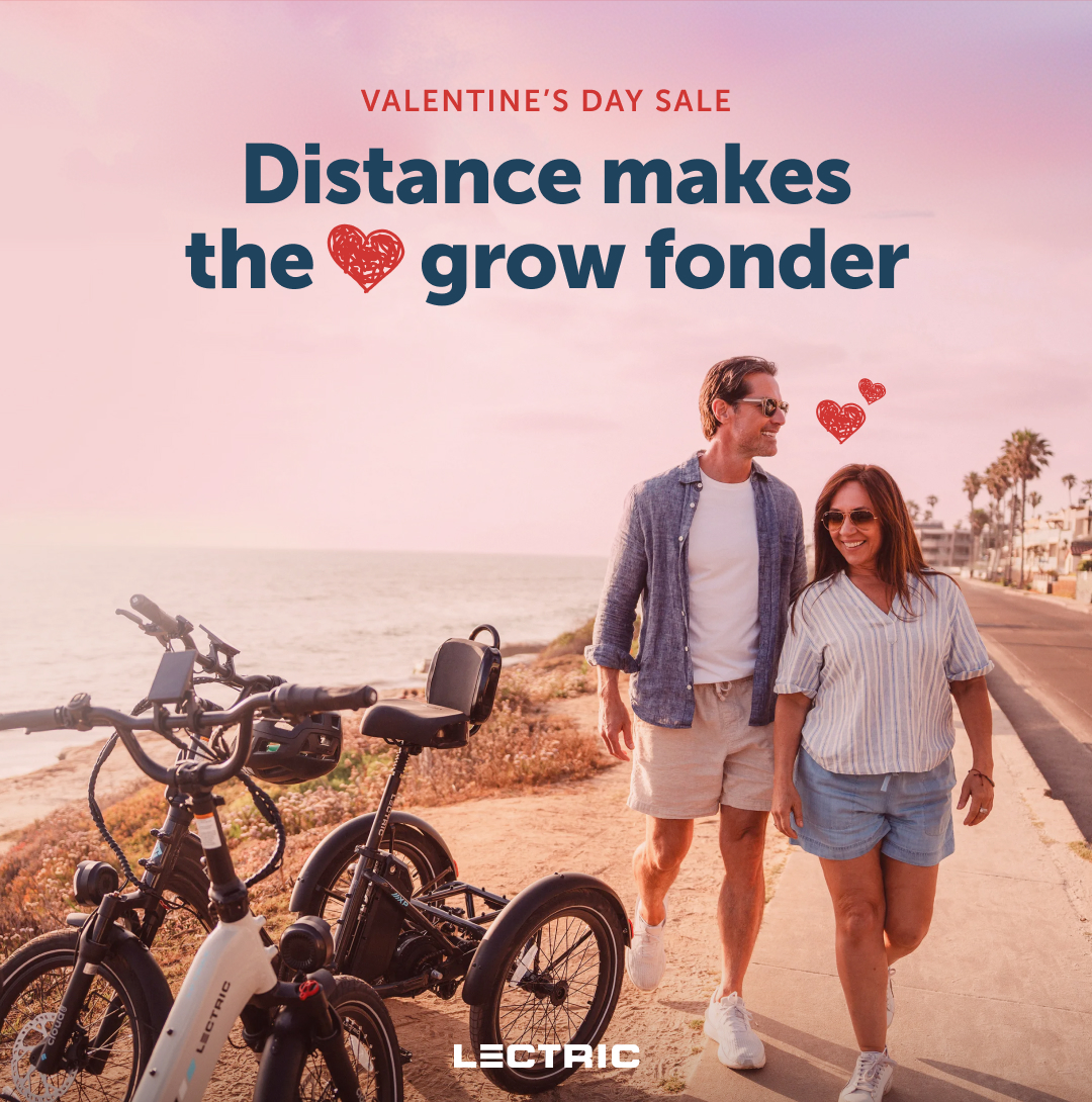 Lectric eBikes Facebook ad