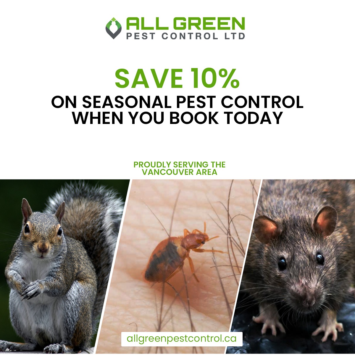 All Green Pest Control Ltd Facebook ad: Save 10% On Seasonal Pest Control