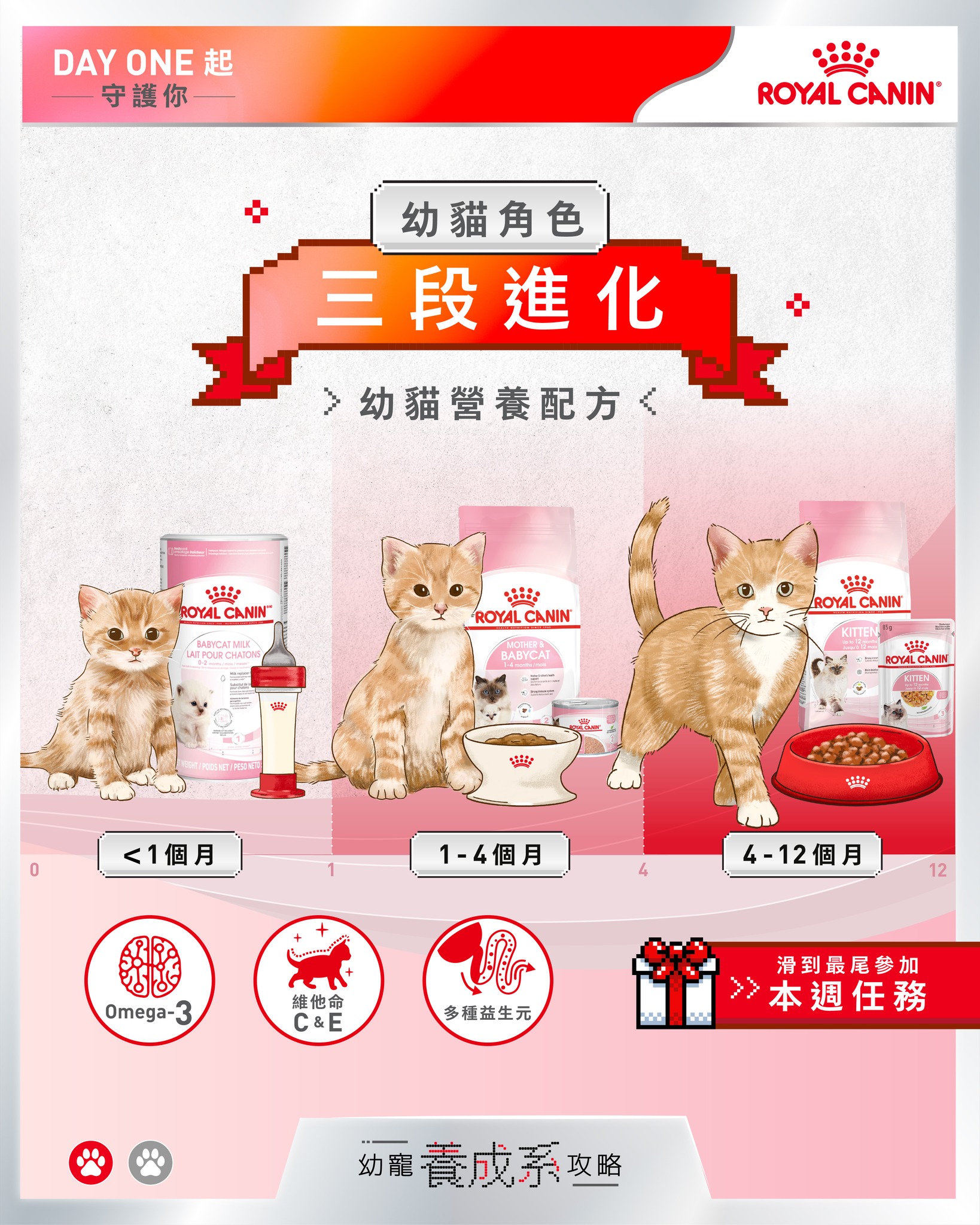 Royal Canin HK Facebook ad: 幼寵養成系攻略2】幼貓角色三段進化!
