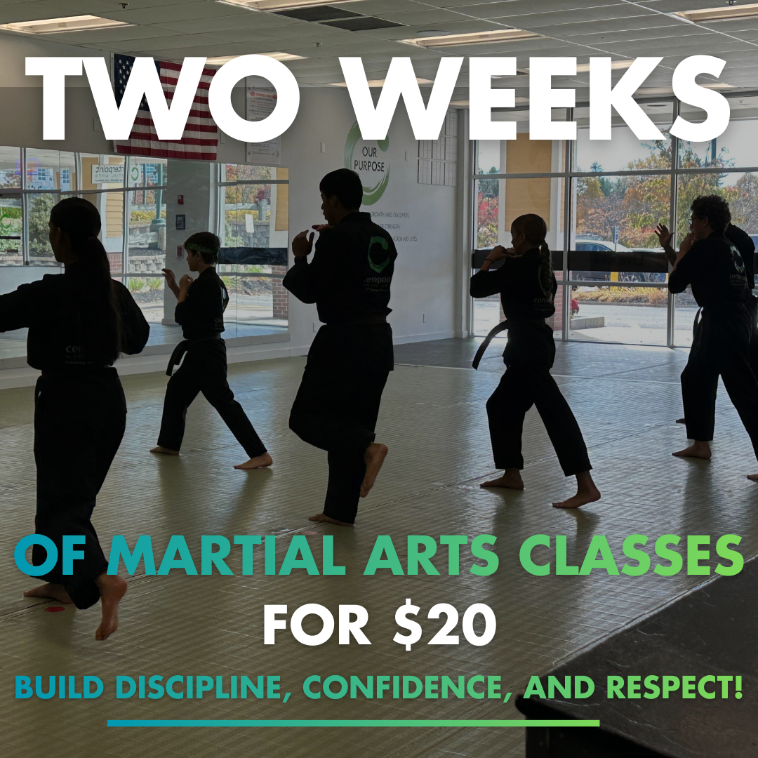 Centerpoint Martial Arts Facebook ad: 2 WEEKS FOR $20