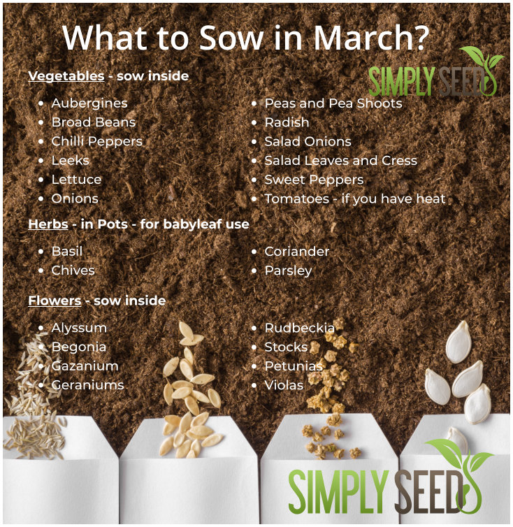 SimplySeed Facebook ad: What Seeds to Sow in March - Vegetables, Herbs, and…