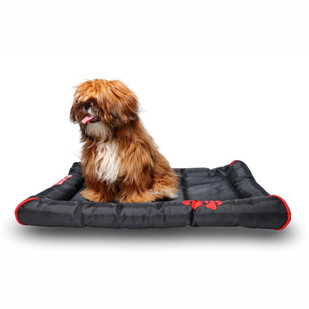 Petter World Facebook ad
