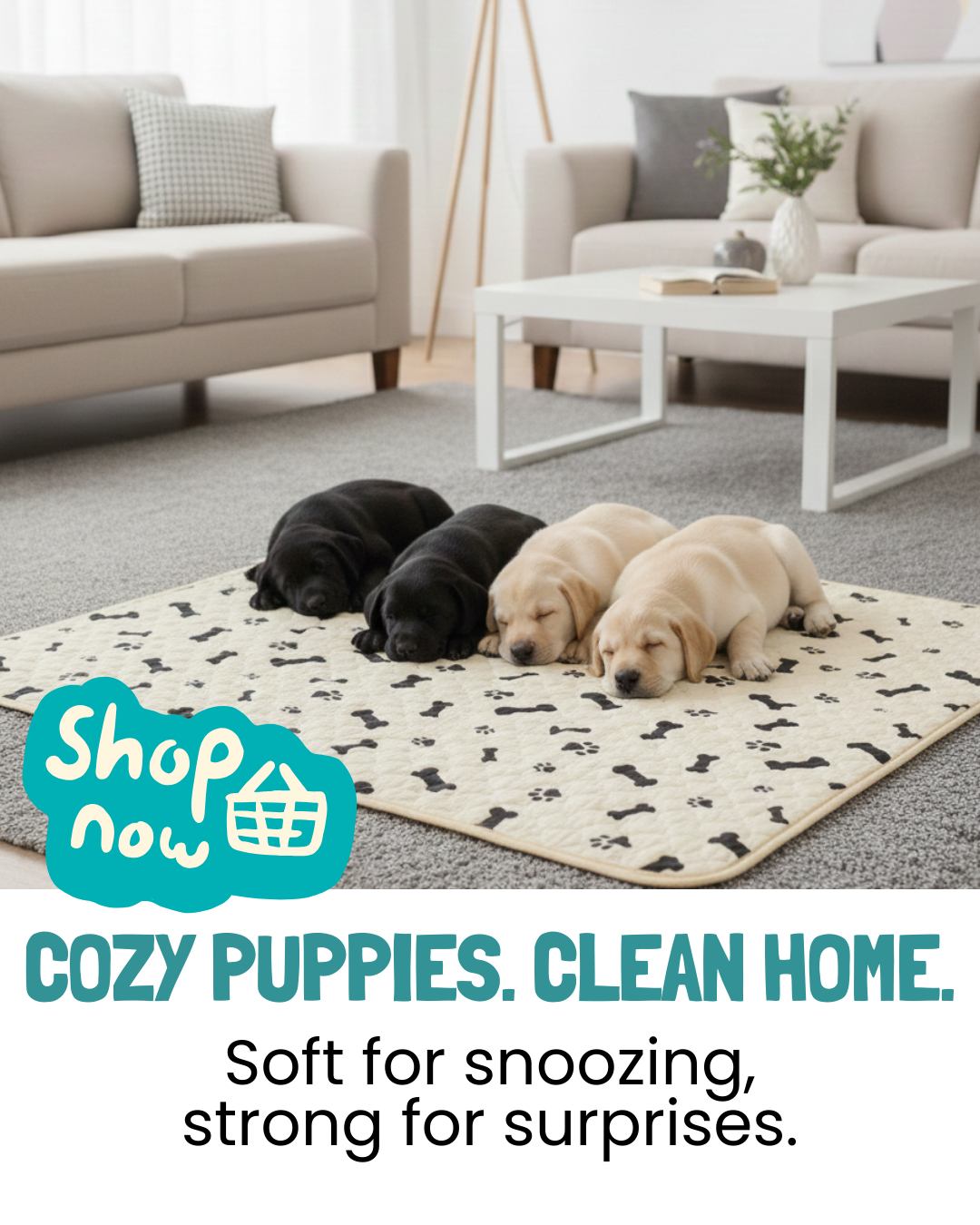 Potty Buddy Facebook ad
