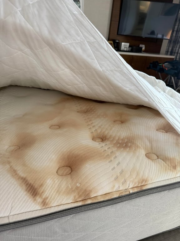 Sophia Miller Facebook ad: These New Silver-Infused Sheets Kill 99.7% of Bacteria…