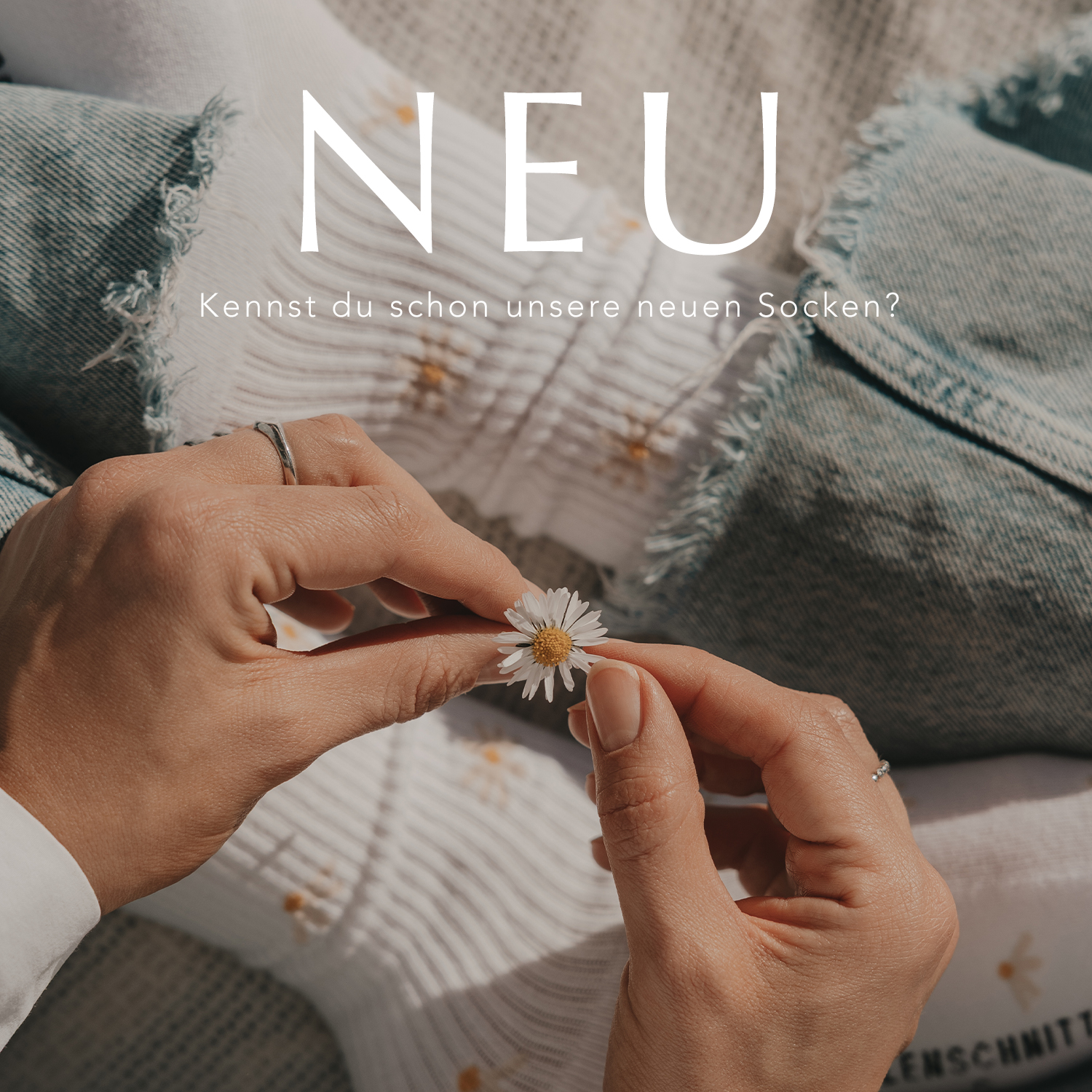 Eulenschnitt Facebook ad
