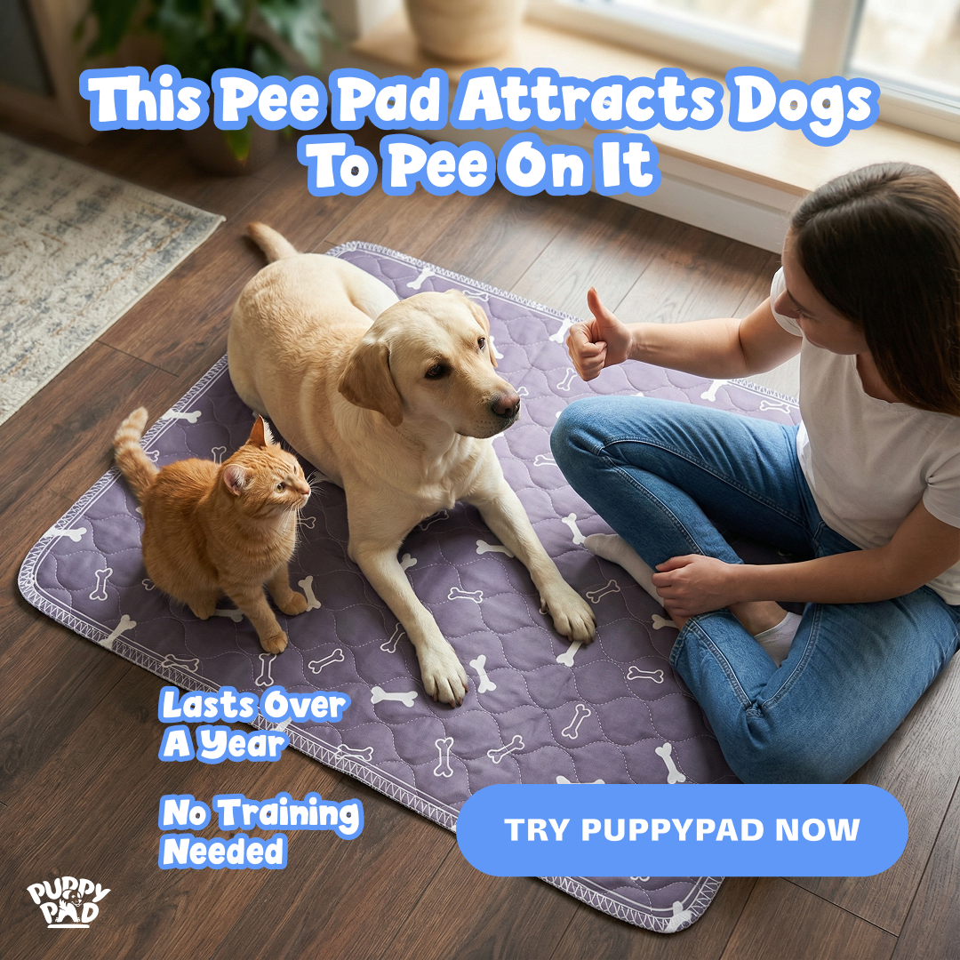 PuppyPad Facebook ad