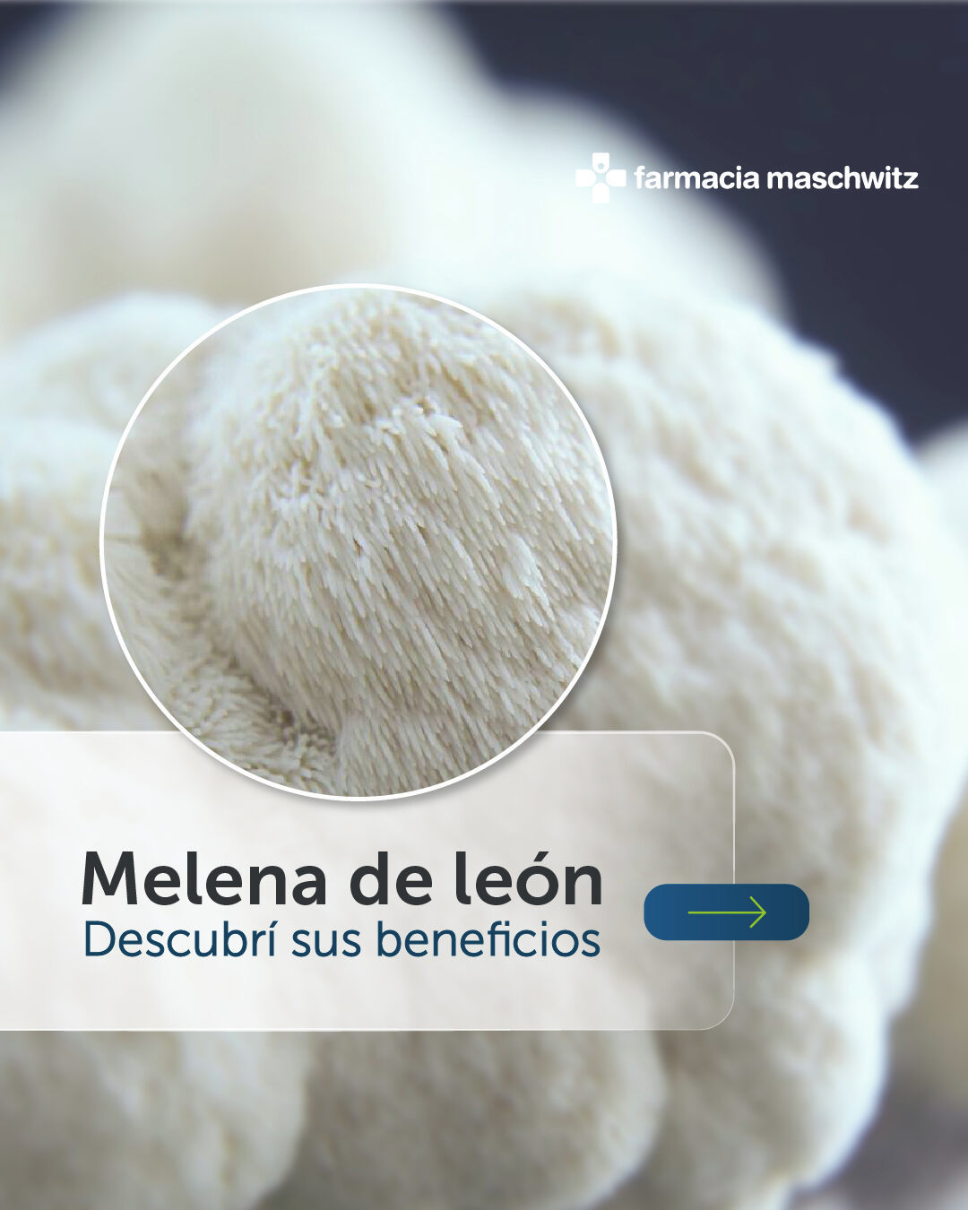 Farmacia Maschwitz Facebook ad: ¿Querés mejorar tu salud cerebral?